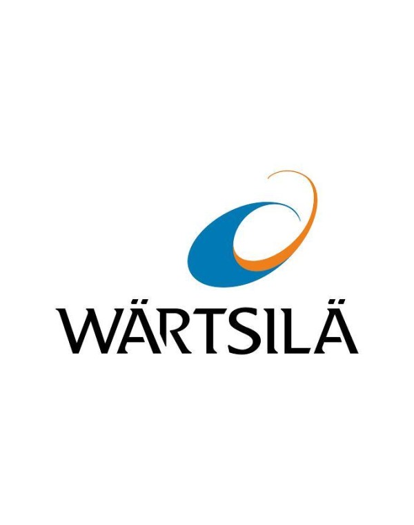 WARTSILA 24TS - O RING - 183 446 -24TS